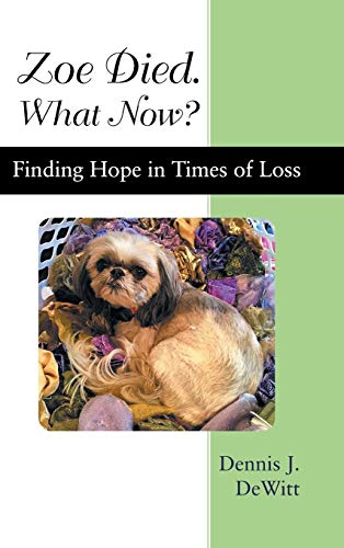 Stock image for Zoe Died. What Now?: Finding Hope in Times of Loss for sale by Lucky's Textbooks