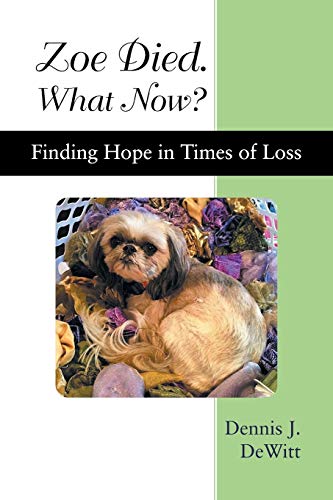 Stock image for Zoe Died. What Now?: Finding Hope in Times of Loss for sale by SecondSale