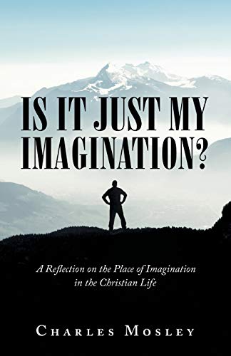 Beispielbild fr Is It Just My Imagination?: A Reflection on the Place of Imagination in the Christian Life zum Verkauf von Buchpark