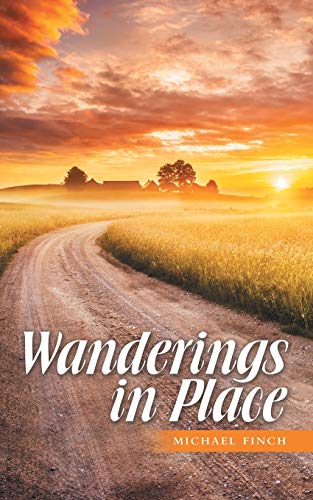 Stock image for Wanderings in Place for sale by GF Books, Inc.