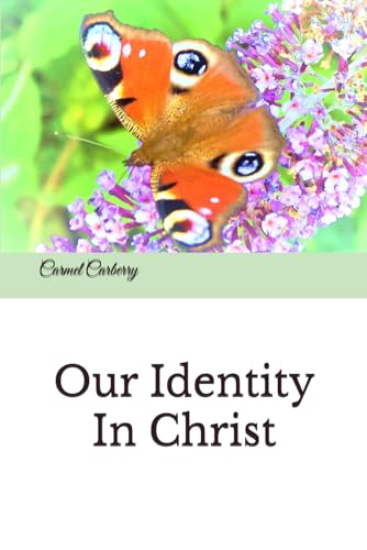 Stock image for Our Identity In Christ for sale by Revaluation Books