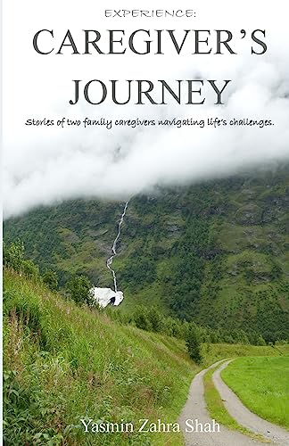 Stock image for Experience: Caregiver's Journey: Stories of two family caregivers navigating life's challenges. for sale by SecondSale