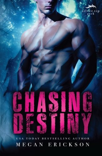 Imagen de archivo de Chasing Destiny: Volume 2 (Silver Tip Pack) a la venta por Revaluation Books