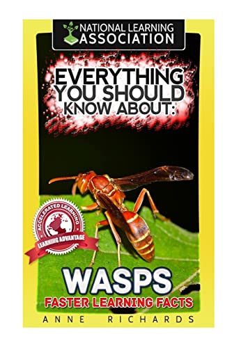 Beispielbild fr Everything You Should Know About: Wasps Faster Learning Facts zum Verkauf von BooksRun