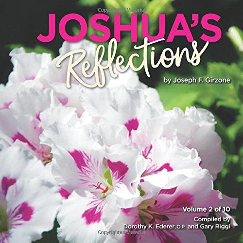 Beispielbild fr Joshua's Reflections: Volume 2 (Joshua Reflections) zum Verkauf von Revaluation Books