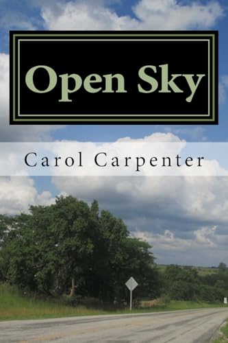 Stock image for Open Sky for sale by THE SAINT BOOKSTORE