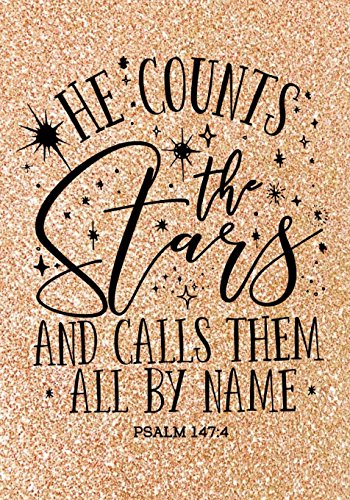 Stock image for He Counts The Stars (Psalm 147: 4 NLT): Christian Notebook or Journal: Gold Glitter Notebook with Scripture: Inspirational Gift for Women & Girls for sale by ThriftBooks-Dallas