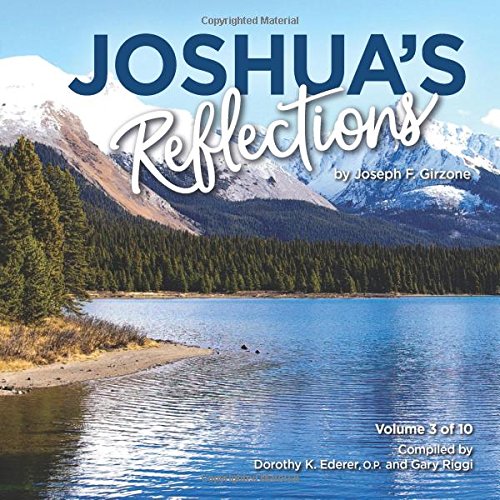 Stock image for Joshua's Reflections Volume 3 for sale by -OnTimeBooks-