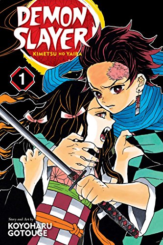 Beispielbild fr Demon Slayer: Kimetsu no Yaiba, Vol. 1 zum Verkauf von Better World Books