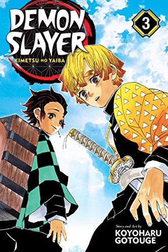 Stock image for Demon Slayer: Kimetsu no Yaiba, Vol. 3 (3) for sale by KuleliBooks