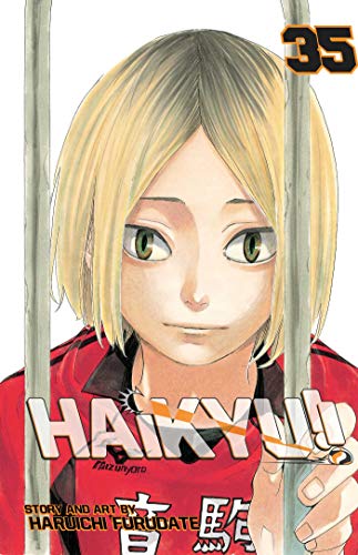 Stock image for Haikyu!!, Vol. 35 (35) for sale by KuleliBooks