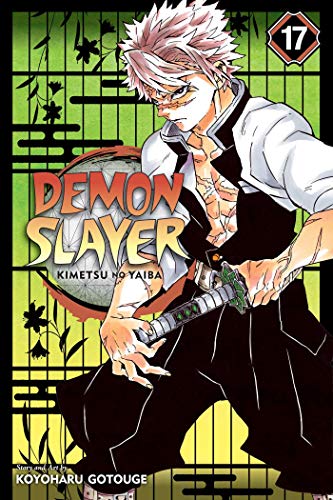 9781974710614: Viz Demon Slayer Kimetsu No Yaiba GN Vol. 17 Paperback Manga (Shonen Jump Manga, 17)