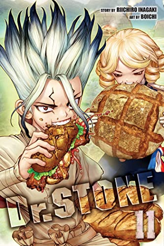 Stock image for Dr. STONE, Vol. 11 (11) for sale by HPB Inc.