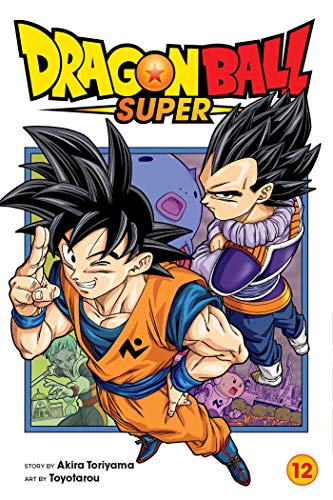 Beispielbild fr Dragon Ball Super, Vol. 12 zum Verkauf von Better World Books