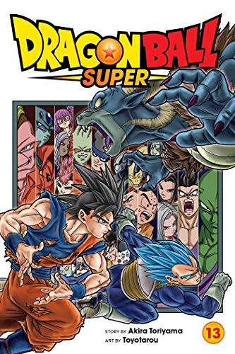 Beispielbild fr Dragon Ball Super, Vol. 13: Volume 13 zum Verkauf von WorldofBooks