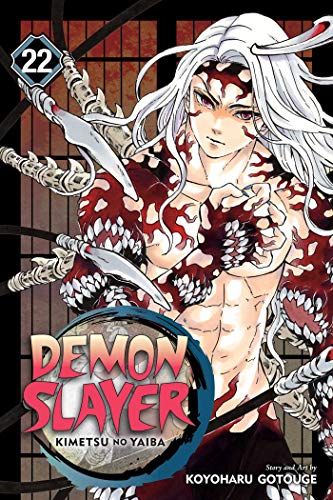 Stock image for Demon Slayer: Kimetsu no Yaiba, Vol. 22 (22) for sale by Zoom Books Company