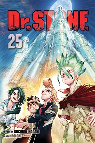 Stock image for Dr. STONE, Vol. 25 for sale by Better World Books: West