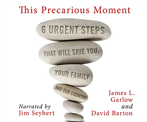 9781974923977: This Precarious Moment: Six Urgent Steps That Will Save You, Your Family, and Our Country: 6 Urgent Steps That Will Save You, Your Family, and Our Country