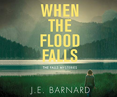 Stock image for When the Flood Falls (Falls Mysteries) for sale by Buchpark