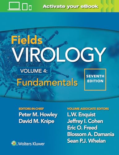 Stock image for Fields Virology: Fundamentals for sale by BooksRun