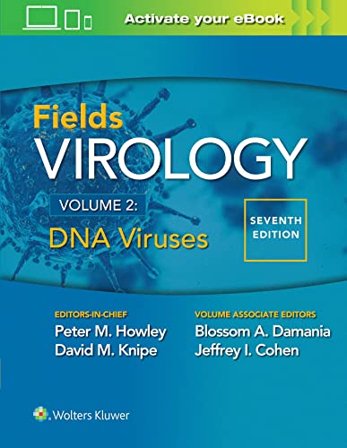 Stock image for Fields Virology: DNA Viruses for sale by BooksRun