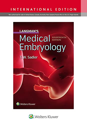 Imagen de archivo de Langman's Medical Embryology a la venta por Anybook.com