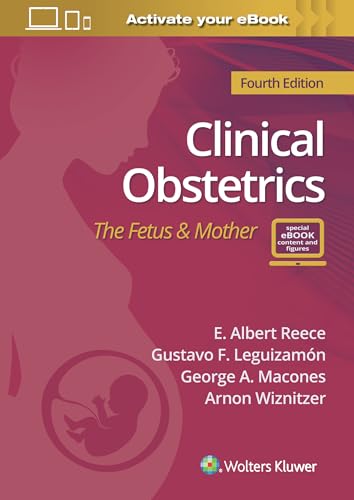 Stock image for Clinical Obstetrics: The Fetus & Mother for sale by The Book Corner