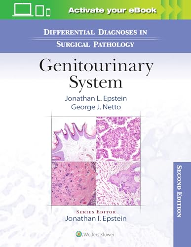 Stock image for Differential Diagnoses in Surgical Pathology: Genitourinary System for sale by Book Deals