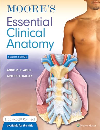 Stock image for Moore's Essential Clinical Anatomy for sale by GF Books, Inc.