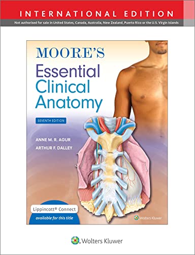 Stock image for Moore's Essential Clinical Anatomy Seventh, International Edition for sale by GreatBookPrices