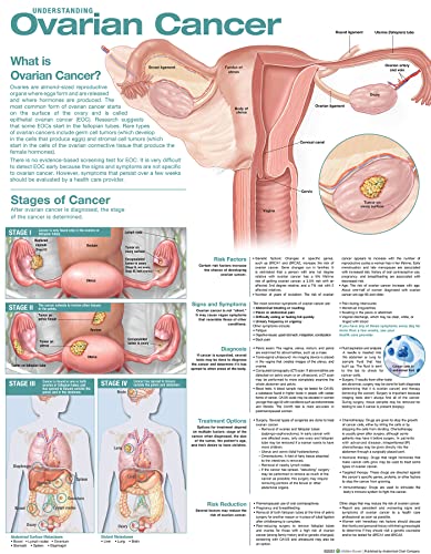 Beispielbild fr Understanding Ovarian Cancer Anatomical Chart zum Verkauf von Monster Bookshop