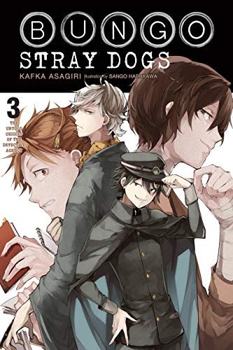 9781975303266: Bungo Stray Dogs Light Novel 3: The Untold Origins of the Detective Agency