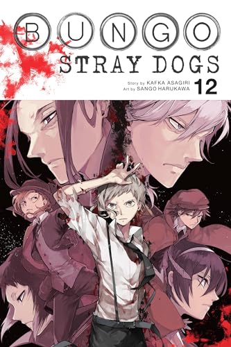 Stock image for Bungo Stray Dogs, Vol. 12 (Bungo Stray Dogs, 12) for sale by HPB-Diamond