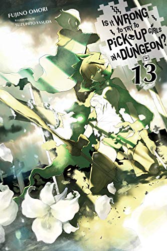 Stock image for Is It Wrong to Try to Pick Up Girls in a Dungeon?, Vol. 13 (light novel) (Is It Wrong to Pick Up Girls in a Dungeon?, 13) for sale by BooksRun
