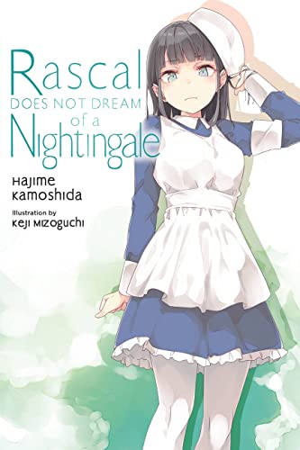 Beispielbild fr Rascal Does Not Dream of a Nightingale (light novel) (Volume 11) (Rascal Does Not Dream (light novel)) zum Verkauf von Half Price Books Inc.