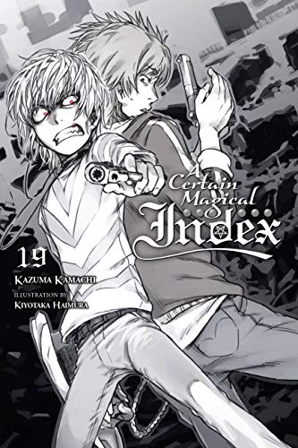 Beispielbild fr A Certain Magical Index, Vol. 19 (light novel) zum Verkauf von medimops