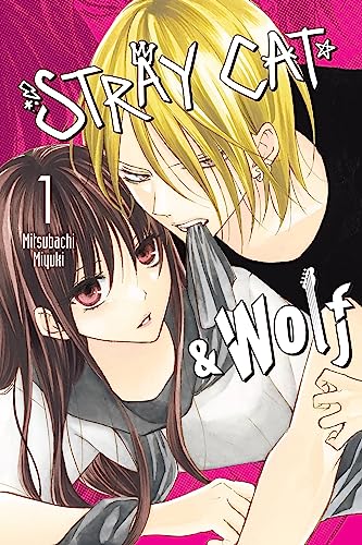 Beispielbild fr Stray Cat & Wolf, Vol. 1: Volume 1 zum Verkauf von WorldofBooks