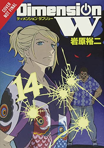 Stock image for Dimension W, Vol. 14 for sale by Better World Books
