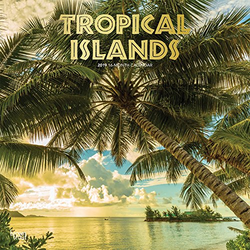 9781975401115: Tropical Islands 2019 12 x 12 Inch Monthly Square Wall Calendar with Foil Stamped Cover, Scenic Travel Tropical Photography