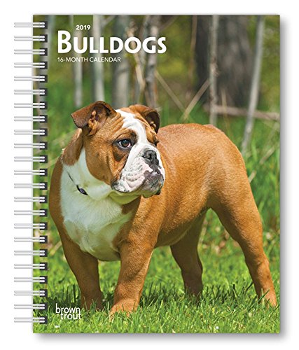 Beispielbild fr Bulldogs 2019 Diary zum Verkauf von Buchpark