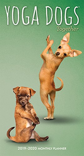Beispielbild fr Yoga Dogs Together 2019-2020 Monthly Planner zum Verkauf von Buchpark