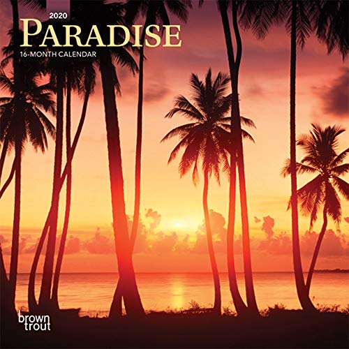 Stock image for Paradise 2020 Mini Wall Calendar for sale by Marches Books