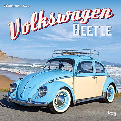  Detalles con más sobre el mejor volkswagen escarabajo