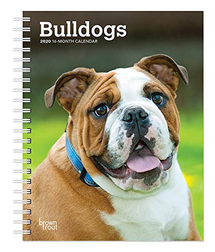 Stock image for Bulldogs 2020 Diary for sale by Marches Books