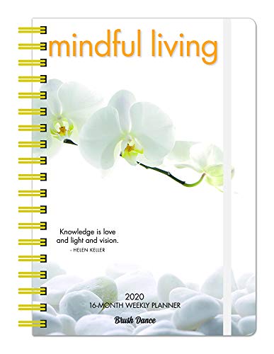 9781975416652: Mindful Living 2020 6.9 x 9.8 Inch Weekly Karma Planner by Brush Dance, Art Quotes Photography Inspiration