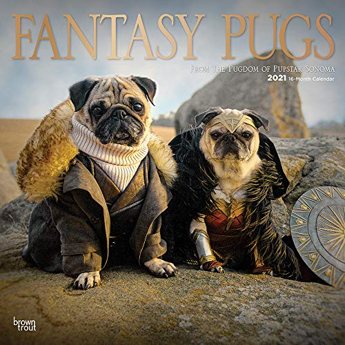 Imagen de archivo de Fantasy Pugs 2021 12 x 12 Inch Monthly Square Wall Calendar with Foil Stamped Cover by Wyman, Funny Animals (English, Spanish and French Edition) a la venta por GF Books, Inc.