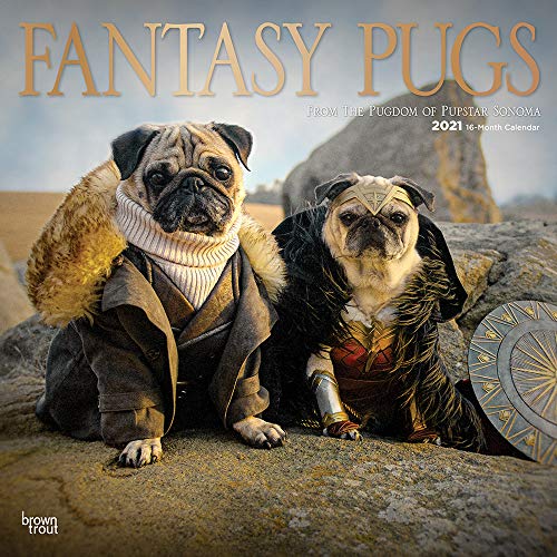 Stock image for Fantasy Pugs 2021 12 x 12 Inch Monthly Square Wall Calendar with Foil Stamped Cover by Wyman, Funny Animals (English, Spanish and French Edition) for sale by GF Books, Inc.