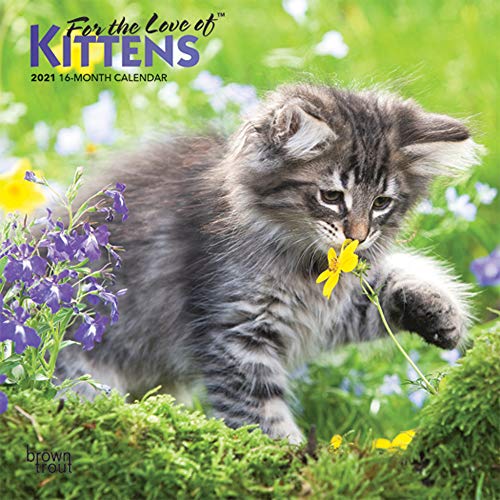 Imagen de archivo de For the Love of Kittens 2021 7 x 7 Inch Monthly Mini Wall Calendar with Foil Stamped Cover, Animals Cats Kittens Feline a la venta por GF Books, Inc.