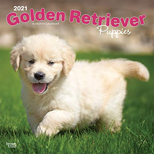 Puppy Love 2021 Calendar 