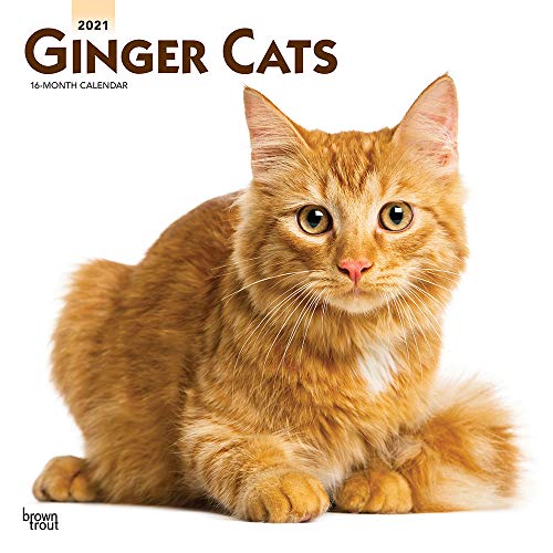 Ginger Cats 2022 12 x 12 Inch Monthly Square Wall Calendar 